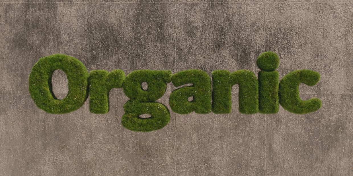 the word 'organic' floats in front of a concrete wall. each of the letters is covered in thick, fluffy grass.