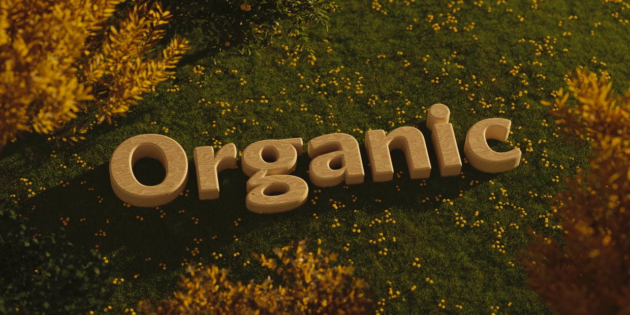 the word "organic" in wood, laid on the floor of a grassy outdoor scene, surrounded by fallen leaves and maple trees