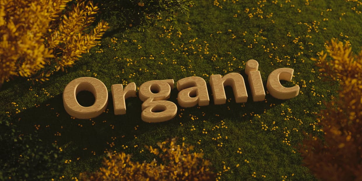 3d render of the word 'organic' laying on a grassy field, surrounded by dandelions and autumn trees. the word is carved from smooth maple wood.